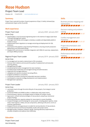 Project Team Lead Resume Sample and Template