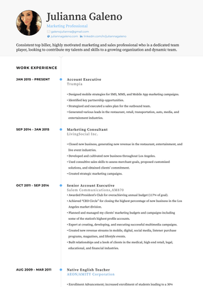 Marketing Consultant  Resume Sample and Template