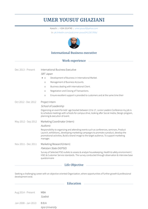 International Business Executive Resume Sample and Template