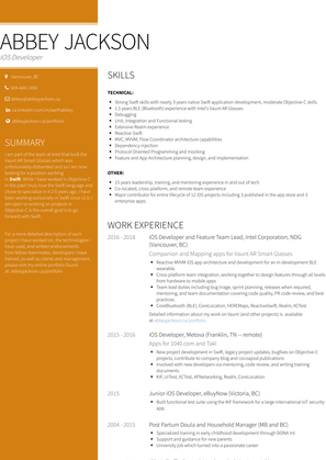 Abstract Painter, Self   Employed Artist Resume Sample and Template