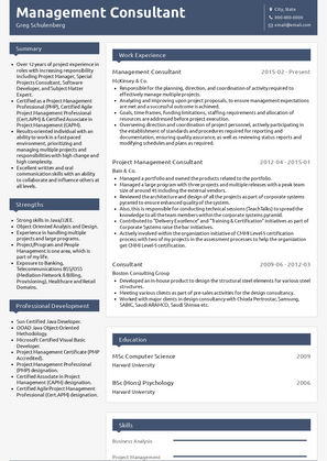 Management Consultant Resume Sample and Template