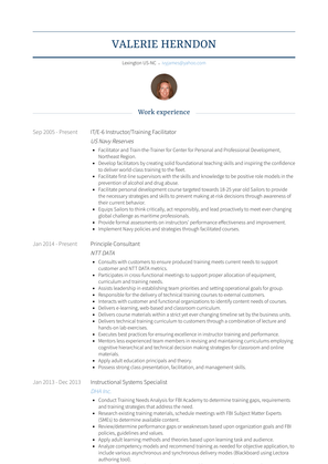 Principle Consultant Resume Sample and Template