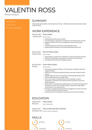 Policy Analyst Resume Sample and Template