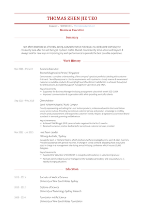 Business Executive Resume Sample and Template