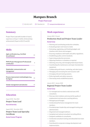 Project Team Lead Resume Sample and Template