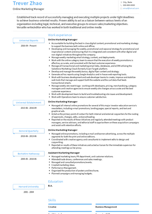Marketing Manager Resume Sample and Template