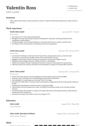 Sales Leader Resume Sample and Template