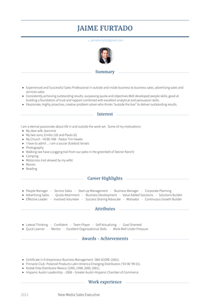New Media Sales Executive Resume Sample and Template