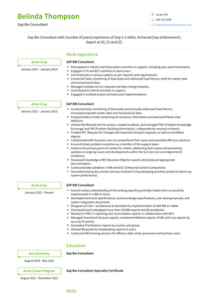 Sap Bw Consultant Resume Sample and Template