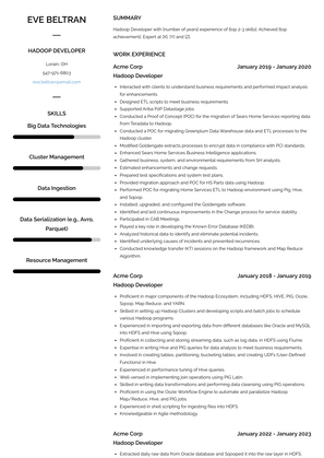 Hadoop Developer Resume Sample and Template