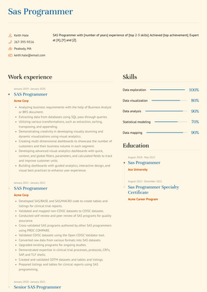 Sas Programmer Resume Sample and Template