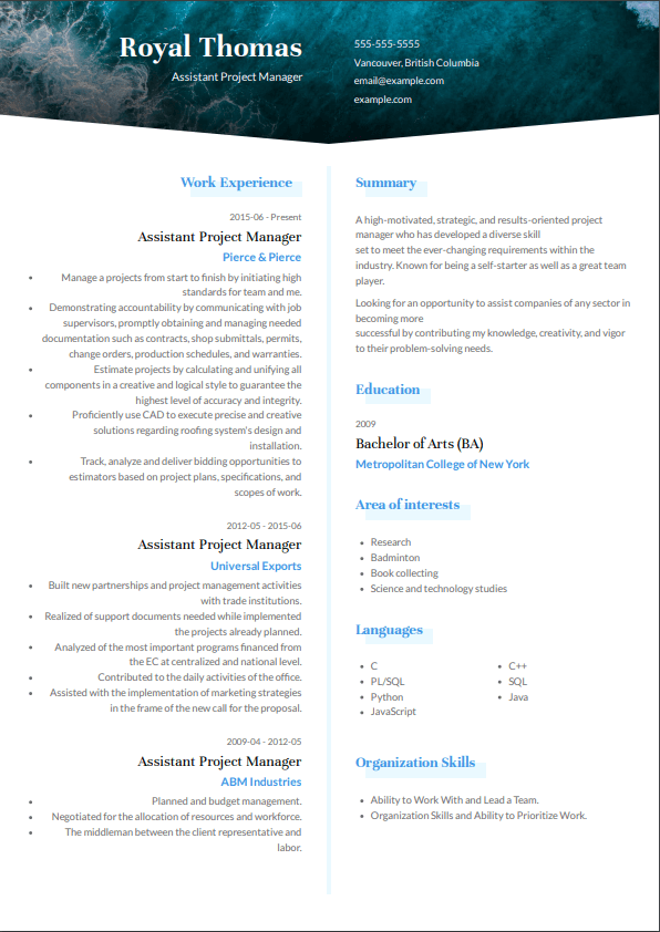 Canadian resume example for project manager