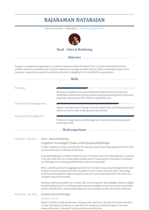 Assistant General Manager Resume Sample and Template