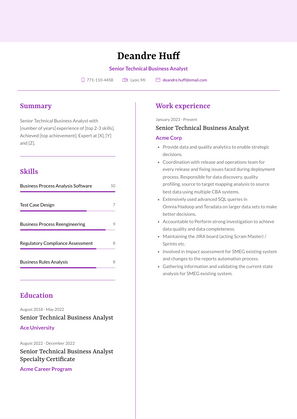 Senior Technical Business Analyst Resume Sample and Template