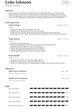 Project Assistant Resume Sample and Template