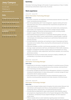 Information Technology Manager Resume Sample and Template