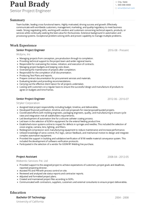 Senior Project Engineer Resume Sample and Template