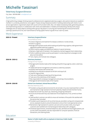 Veterinary Surgeon CV Example and Template