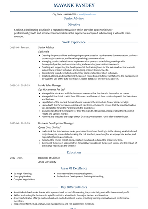 Senior Advisor Resume Sample and Template