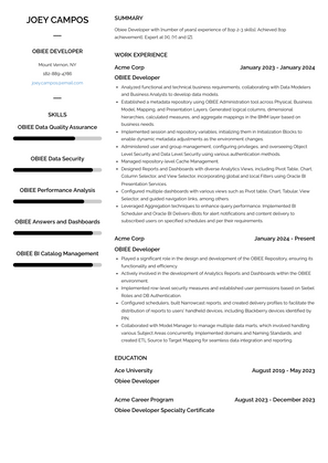 Obiee Developer Resume Sample and Template