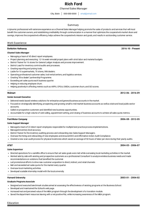 Channel Sales Manager Resume Sample and Template