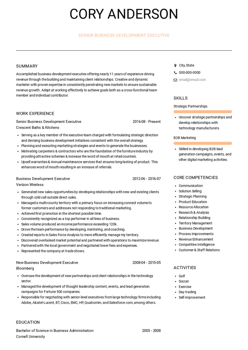 Senior Business Development Executive Resume Sample and Template