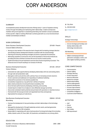 Senior Business Development Executive Resume Sample and Template