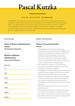 Finance and Accounts Executive CV Example and Template