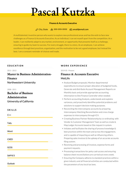 Finance and Accounts Executive Resume Sample and Template
