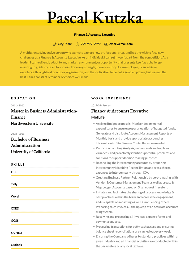 Finance and Accounts Executive CV Example and Template