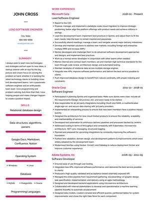 Lead Software Engineer CV Example and Template