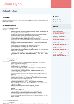 Hadoop Developer Resume Sample and Template