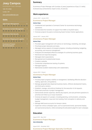 Ecommerce Project Manager Resume Sample and Template