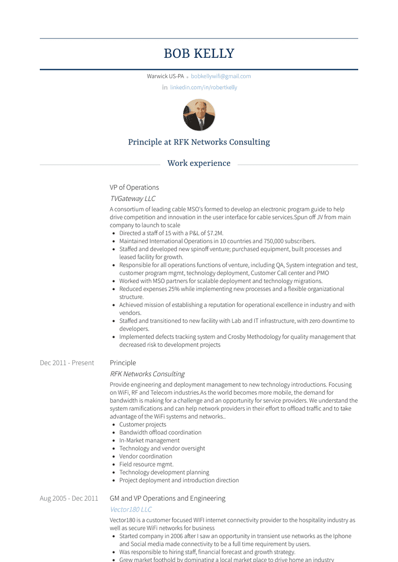 Vp Of Operations Resume Sample and Template