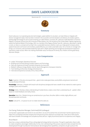 Chairman & Cto Resume Sample and Template