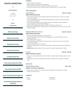 Digital Marketing  Resume Sample and Template