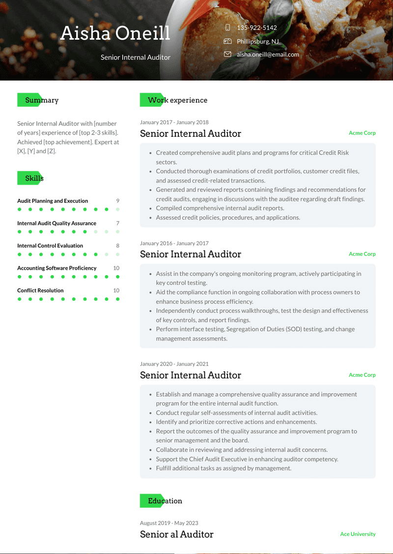 Senior Internal Auditor Resume Sample and Template