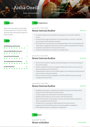 Senior Internal Auditor Resume Sample and Template