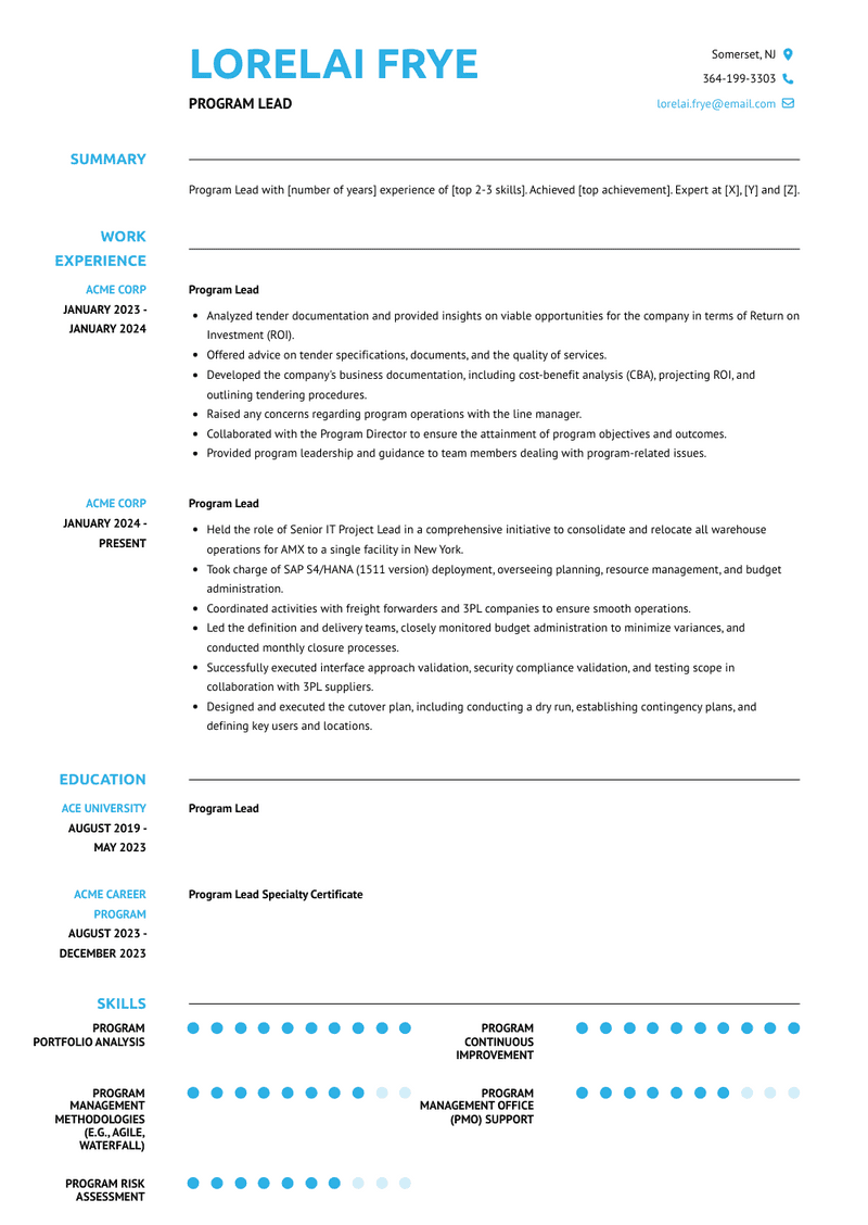 Program Lead Resume Sample and Template