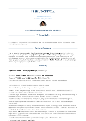 Assistant Vice President Resume Sample and Template