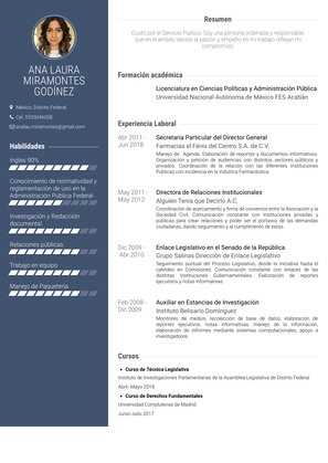 Secretaria Particular Del Director General Resume Sample and Template