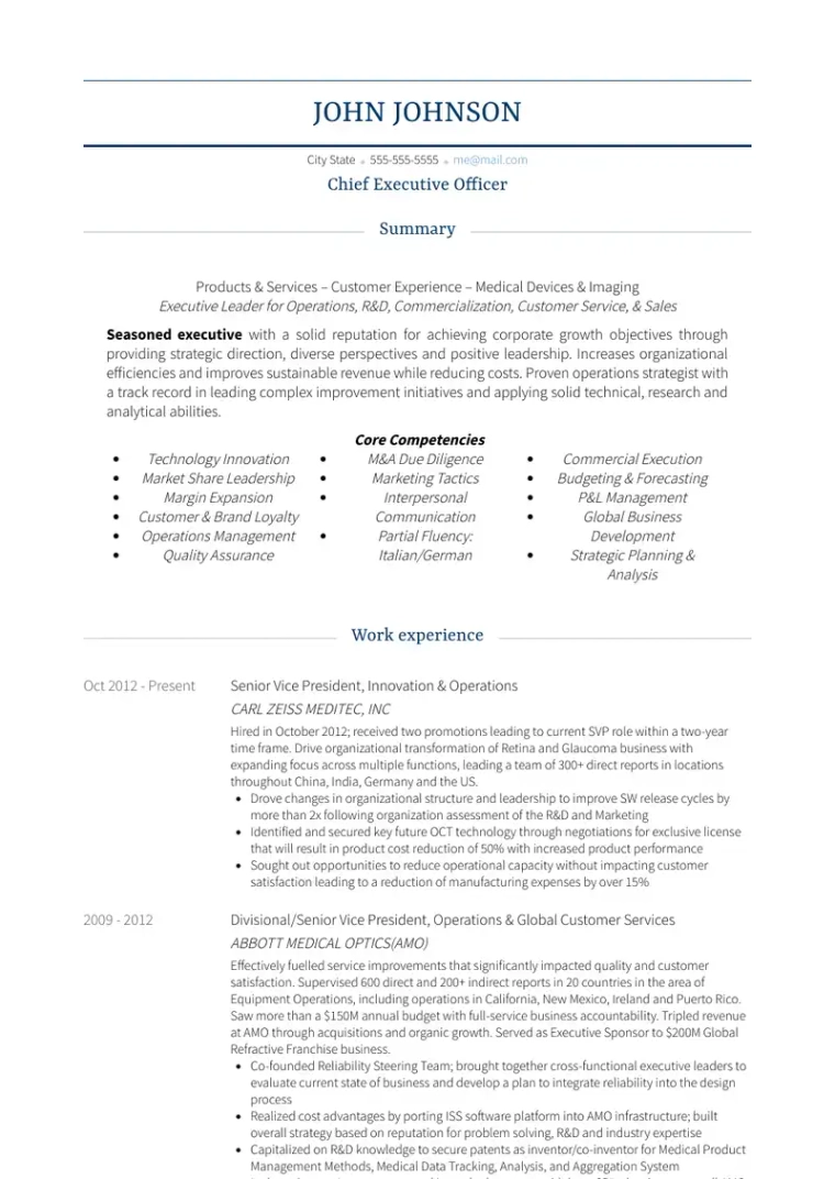 chief executive officer resume template