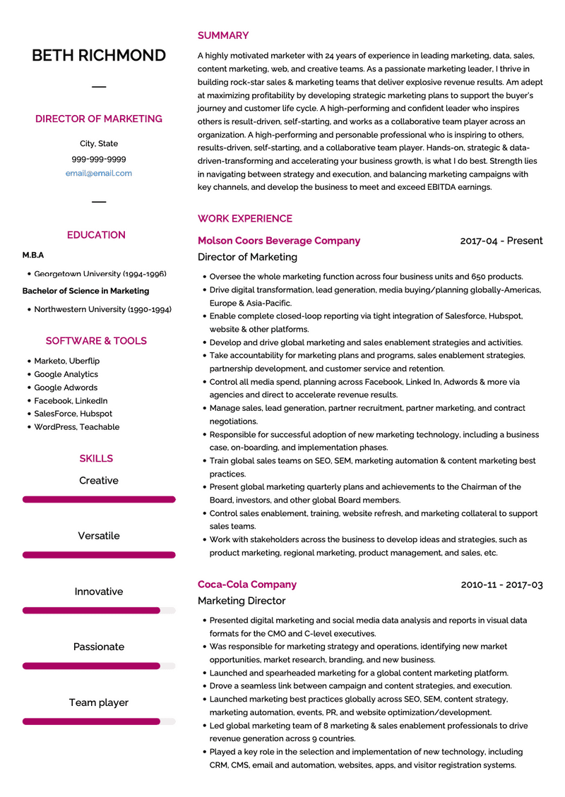 Marketing Director CV Example and Template