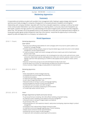 Apprentice CV Example and Template