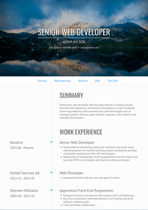 Senior Web Developer Resume Sample and Template