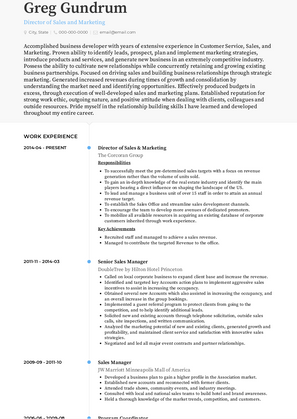 Director of Sales and Marketing Resume Sample and Template