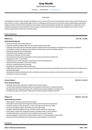 Digital Marketing Manager Resume Sample and Template