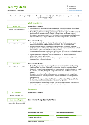 Senior Finance Manager Resume Sample and Template