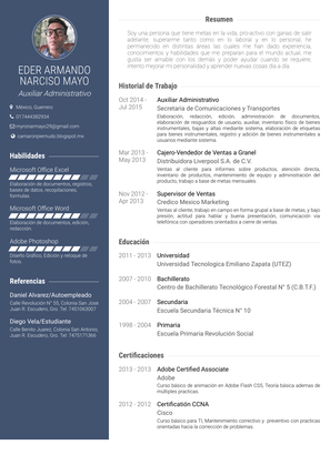 Auxiliar Administrativo Resume Sample and Template