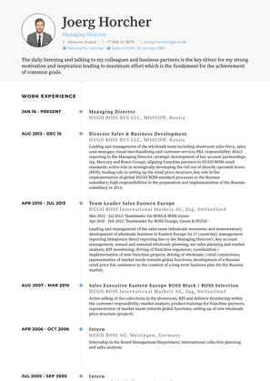 Director Sales & Business Development Resume Sample and Template